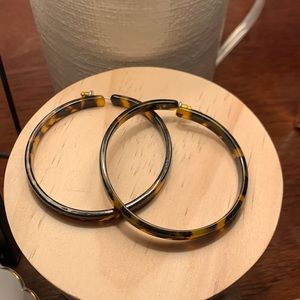 Tortoise hoops
